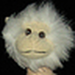 Profile Picture of bex (@uberbex) on Flickr