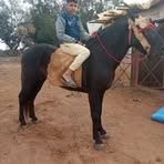 Profile Picture of Jawad Balwa (@Jawad-Balwa) on Facebook