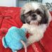 Profile Picture of Patrick Joubert (@patrick.joubert.7503) on Facebook