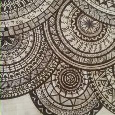 Profile Picture of Shannon Simmonds (@shan_penguins) on Twitter