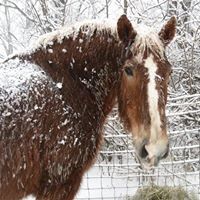 Profile Picture of Marsha Van Zant Kelsey (@marsha-van-zant-kelsey) on Quora