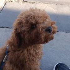 Profile Picture of Gabriel Silvera (@gabriel93319215) on Twitter