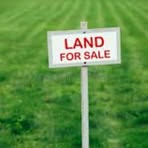 Profile Picture of Eddie Blow (@Eddie-Blow) on Facebook