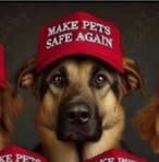 Profile Picture of Christopher Martin (@Christopher-Martin) on Facebook