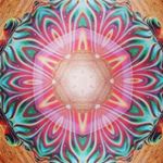 Profile Picture of Brad Chun (@spunchun) on Instagram