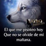 Profile Picture of Mario Quezada (@mario.quezada.35977) on Instagram