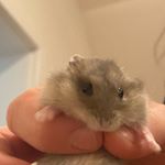 Profile Picture of julajetopka (@julajetopka) on Instagram