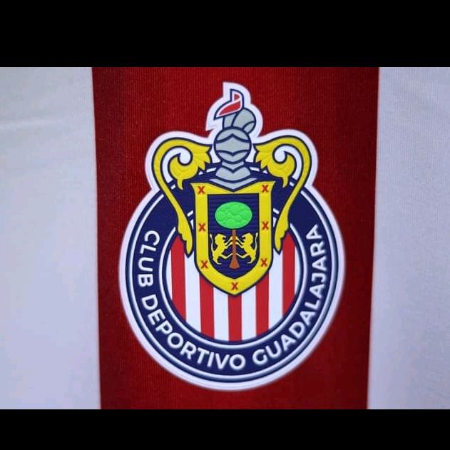 Profile Picture of martin_lizardi18 (@martin_lizardi18) on Tiktok