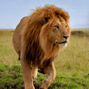 Profile Picture of Ibrahim Hamdan (@ibrahimhamdan9885) on Youtube