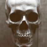 Profile Picture of Peter Zimmerman (@primolevi_2506) on Instagram