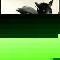 Profile Picture of Vicente Echeverría (@echeverria_arqstudio) on Myspace