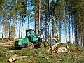 Profile Picture of Forestry - Wikipediaon Wikipedia