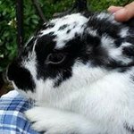 Profile Picture of Lupe alcaraz (@thebestniqqa) on Instagram