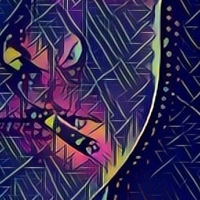 Profile Picture of Thomas Morse (@thomasmorse7) on Twitter