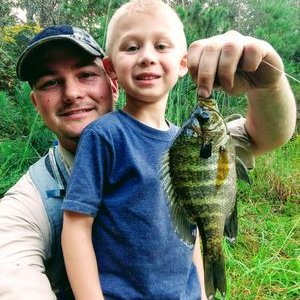 Profile Picture of Sam McNair (@SamMcNair1) on Twitter