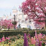 Profile Picture of Maria Titone (@mcplt2002) on Instagram