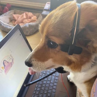 Profile Picture of Julian Paul (@JulianPaulll) on Twitter