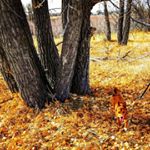 Profile Picture of 문보라 (@bo.ra.moon80) on Instagram