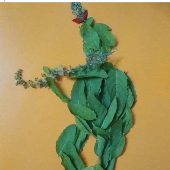 Profile Picture of Suman pandit Suman pandit (@suman1998pandit) on Poshmark