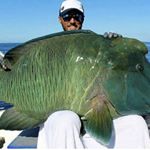 Profile Picture of Peter Hausmann (@peteerhn) on Instagram