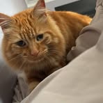 Profile Picture of Robert Wilton (@Robert-Wilton) on Facebook