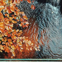 Profile Picture of Autumn Wilkins (@autumn-wilkins-8) on Quora