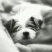 Profile Picture of Heidi Addison (@heidimagdalena) on Pinterest