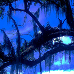 Profile Picture of Amanda Cooper (@moecoop) on Flickr