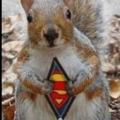 Profile Picture of Ben Hirsh (@nintendodude15) on Twitter