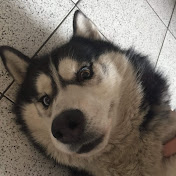 Profile Picture of Laura Metry (@laurametry2035) on Youtube