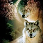 Profile Picture of Paul Maracle (@paul.maracle) on Facebook