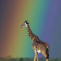 Profile Picture of Alice Dwyer (@alice-dwyer-10) on Quora