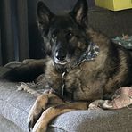 Justin Schuh - Facebook Profile Picture of Justin Schuh (@justin.schuh.5680) on Facebook