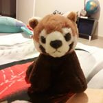 Profile Picture of revax (@m.michael.jesson) on Instagram