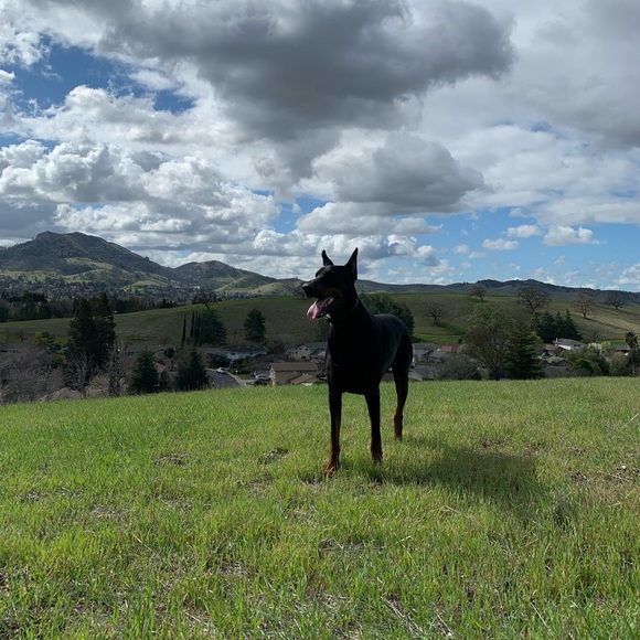 Profile Picture of Marjorie Gonzalez (@marjoriegonz462) on Poshmark