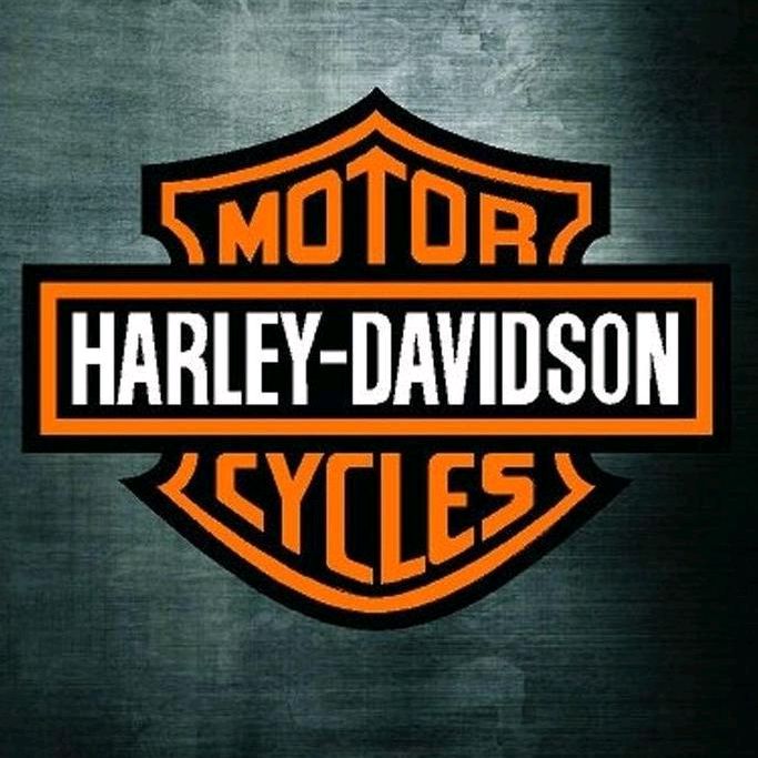 Profile Picture of Michael Sarno (@msarno) on Tiktok