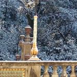 Profile Picture of Alberto Lucenti (@alberto.lucenti.186) on Instagram