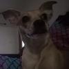 Profile Picture of brandon (@@brandonseth) on Tiktok