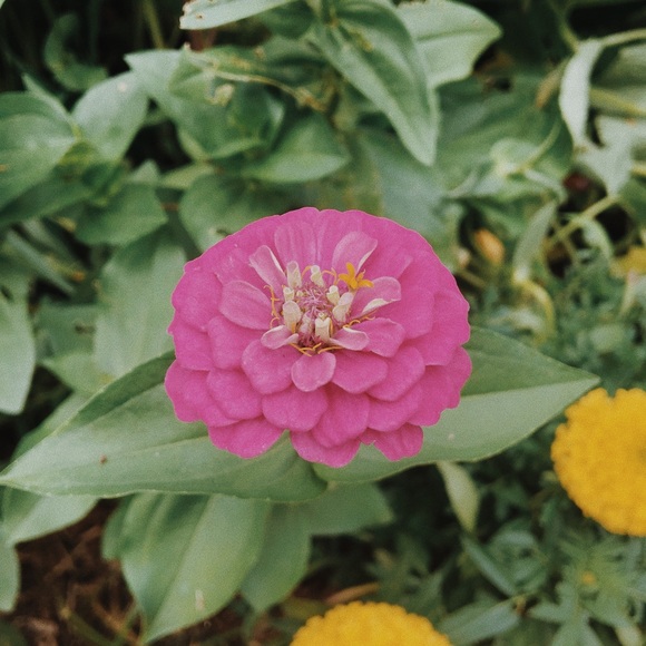 Profile Picture of G Phillips (@gep1203) on Poshmark