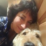 Profile Picture of Barrie Goldberg-Bugajsky (@barriebugajsky) on Instagram