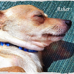 Profile Picture of Beverley-clare Harris (@harr4473@bellsouth.net) on Flickr