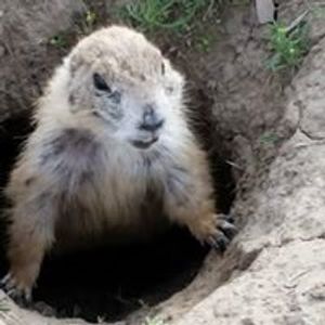 Tim Wilburn - Myspace Profile Picture of Tim Wilburn (@tim.wilburn.5) on Myspace