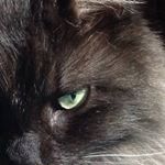 Profile Picture of Donna Danielson Oster (@osterdd) on Instagram