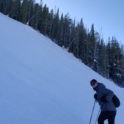 Profile Picture of Nick Almond (@NickAlmond001) on Twitter