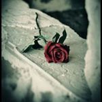 Profile Picture of Lydia Schmidt (@lydia.schmidt.564) on Instagram