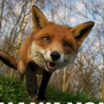 Profile Picture of Robin Janis Racenis (@snookpoint) on Instagram