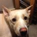 Profile Picture of Maria Pollack (@Maria-Pollack) on Facebook
