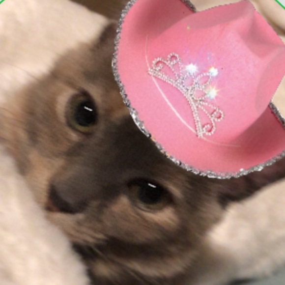 Profile Picture of Christina Papadakis (@christinapapaa) on Poshmark