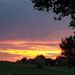Profile Picture of Heidi Hill (@heidiabrams2324) on Pinterest