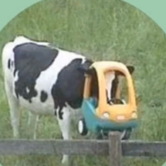 Profile Picture of Anida Mehic (@amehic465) on Poshmark